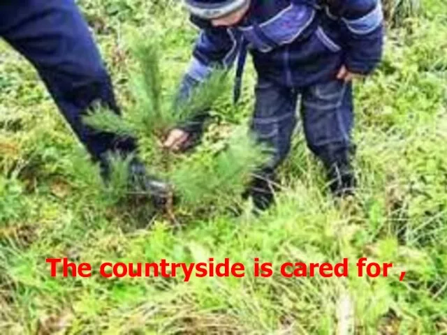 The countryside is cared for ,