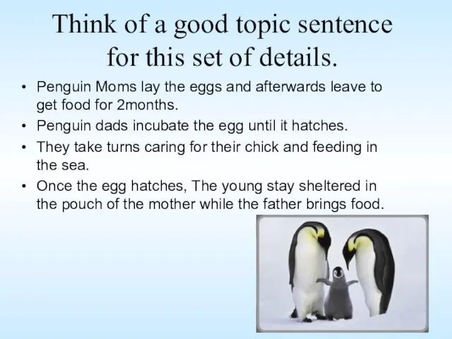 Think of a good topic sentence for this set of details. Penguin