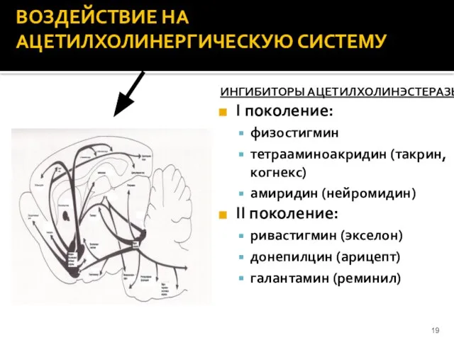 ВОЗДЕЙСТВИЕ НА АЦЕТИЛХОЛИНЕРГИЧЕСКУЮ СИСТЕМУ ИНГИБИТОРЫ АЦЕТИЛХОЛИНЭСТЕРАЗЫ I поколение: физостигмин тетрааминоакридин (такрин, когнекс)