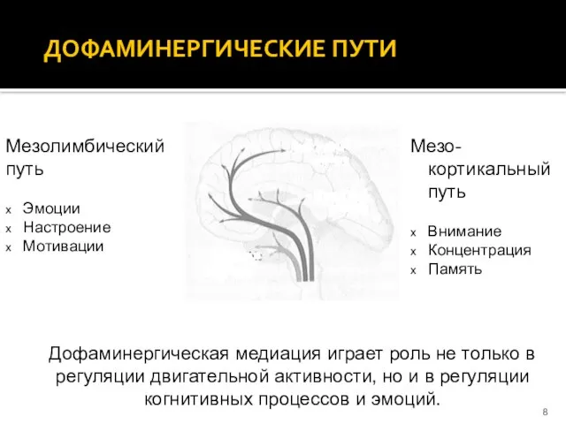 Мезо-кортикальный путь Внимание Концентрация Память ДОФАМИНЕРГИЧЕСКИЕ ПУТИ Мезолимбический путь Эмоции Настроение Мотивации