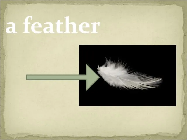 a feather