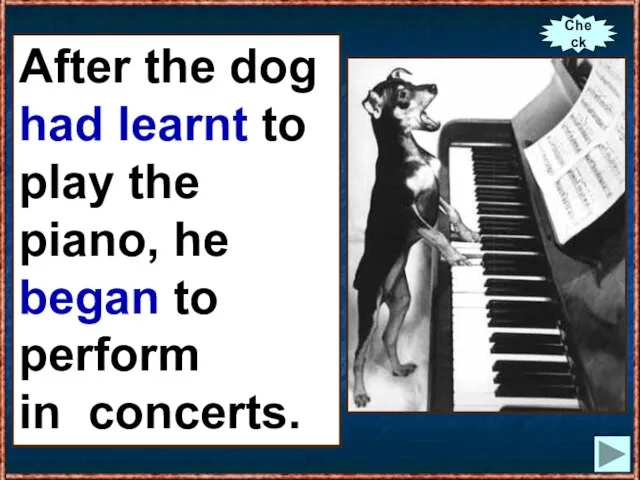 After the dog (to learn) to play the piano, he (to begin)