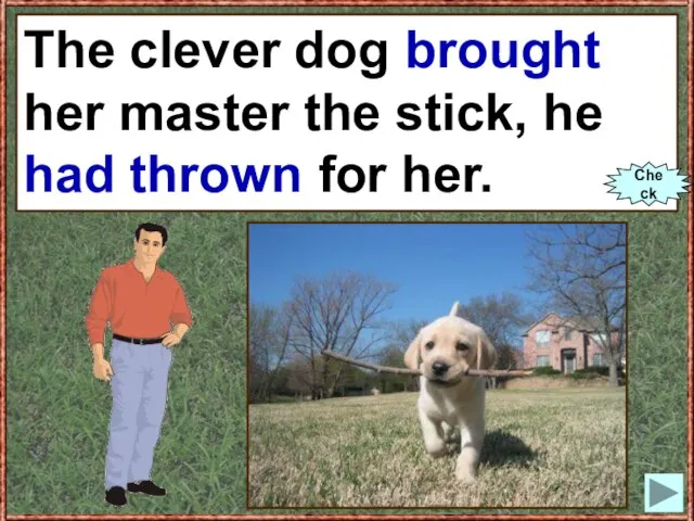 The clever dog (to bring) her master the stick, he (to throw)