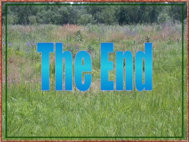 The End