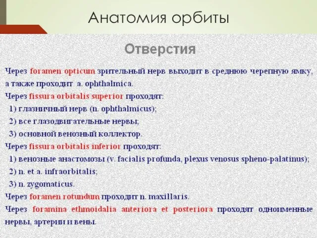 Анатомия орбиты