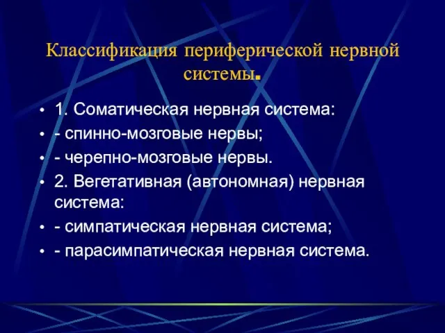 Классификация периферической нервной системы. 1. Соматическая нервная система: - спинно-мозговые нервы; -