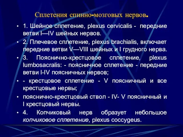 Сплетения спинно-мозговых нервов. 1. Шейное сплетение, plexus cervicalis - передние ветви I—IV