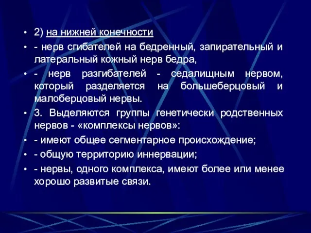 2) на нижней конечности - нерв сгибателей на бедренный, запирательный и латеральный