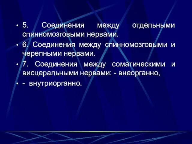 5. Соединения между отдельными спинномозговыми нервами. 6. Соединения между спинномозговыми и черепными