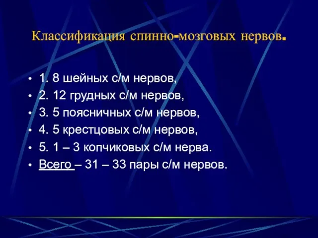 Классификация спинно-мозговых нервов. 1. 8 шейных с/м нервов, 2. 12 грудных с/м