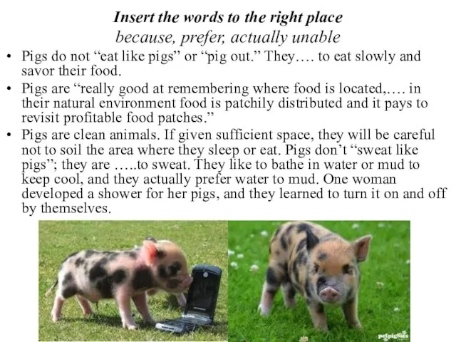 Insert the words to the right place because, prefer, actually unable Pigs