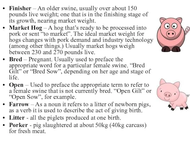 Finisher – An older swine, usually over about 150 pounds live weight;