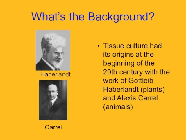 What’s the Background? Tissue culture had its origins at the beginning of