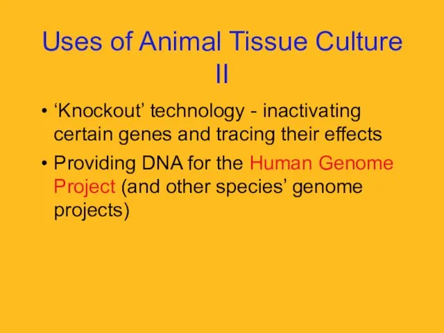 Uses of Animal Tissue Culture II ‘Knockout’ technology - inactivating certain genes