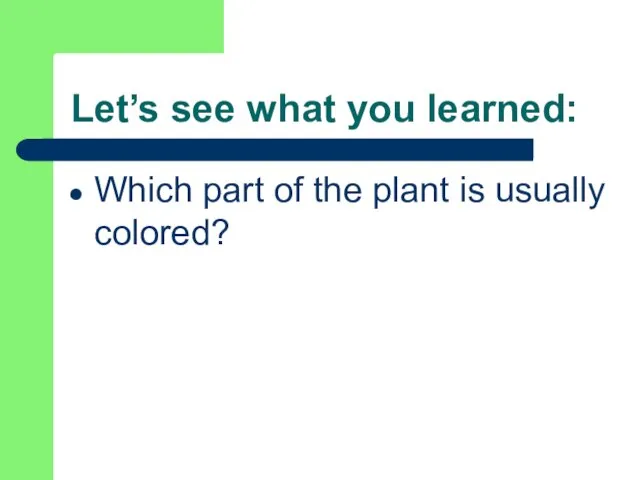 Let’s see what you learned: Which part of the plant is usually colored?