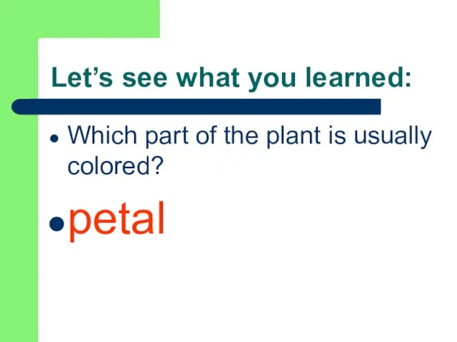 Let’s see what you learned: Which part of the plant is usually colored? petal