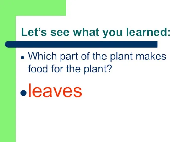 Let’s see what you learned: Which part of the plant makes food for the plant? leaves