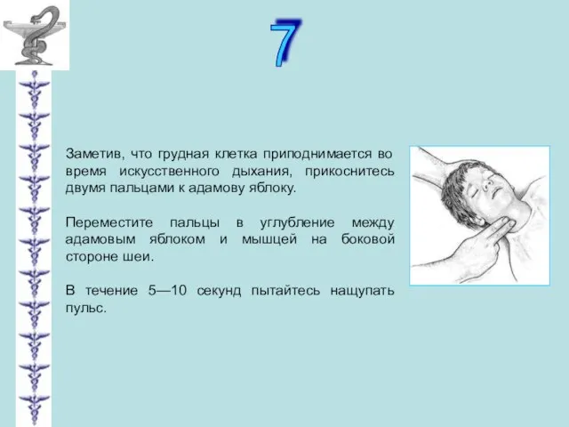 7 Заметив, что грудная клетка приподнимается во время искусственного дыхания, прикоснитесь двумя