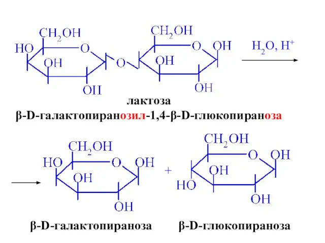 лактоза β-D-галактопиранозил-1,4-β-D-глюкопираноза H2O, H+ β-D-галактопираноза + β-D-глюкопираноза