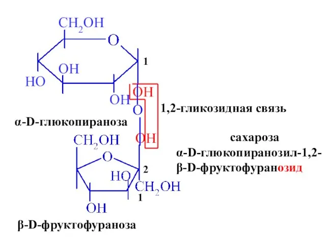 OH OH α-D-глюкопираноза β-D-фруктофураноза 1 2 O 1,2-гликозидная связь сахароза α-D-глюкопиранозил-1,2- β-D-фруктофуранозид