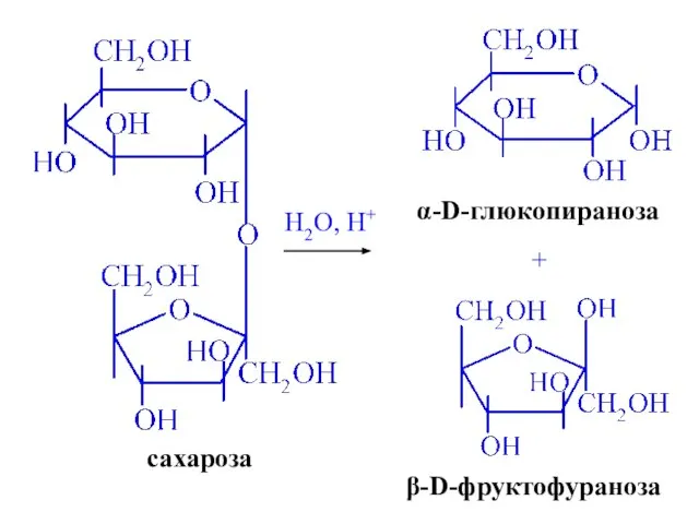 сахароза H2O, H+ + α-D-глюкопираноза β-D-фруктофураноза