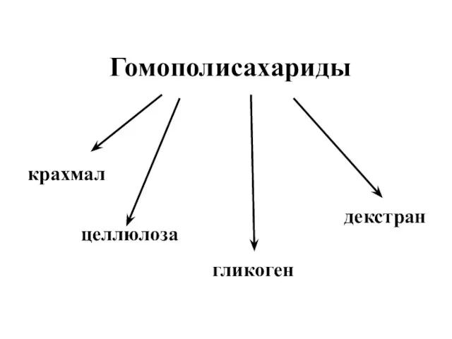 Гомополисахариды крахмал целлюлоза гликоген декстран