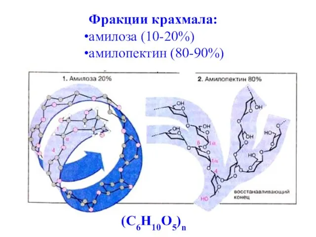 Фракции крахмала: амилоза (10-20%) амилопектин (80-90%) (C6H10O5)n