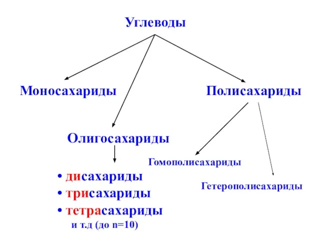 Углеводы Моносахариды Полисахариды Олигосахариды Гомополисахариды дисахариды трисахариды тетрасахариды и т.д (до n=10) Гетерополисахариды