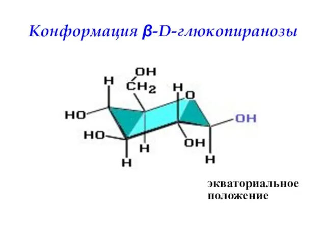 Конформация β-D-глюкопиранозы экваториальное положение