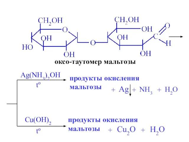 оксо-таутомер мальтозы Ag(NH3)2OH продукты окисления мальтозы Ag + NH3 + H2O to