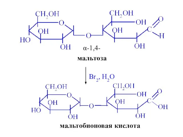 α-1,4- Br2, H2O мальтобионовая кислота мальтоза