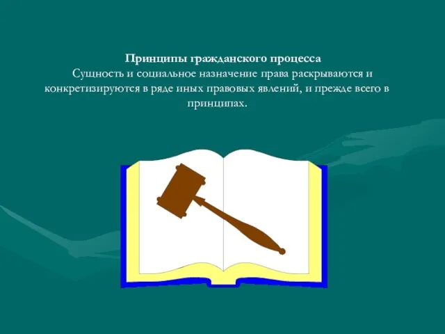 Принципы гражданского процесса Сущность и социальное назначение права раскрываются и конкретизируются в