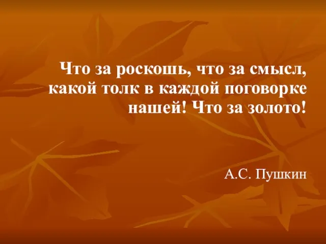 Что за роскошь, что за смысл, какой толк в каждой поговорке нашей!