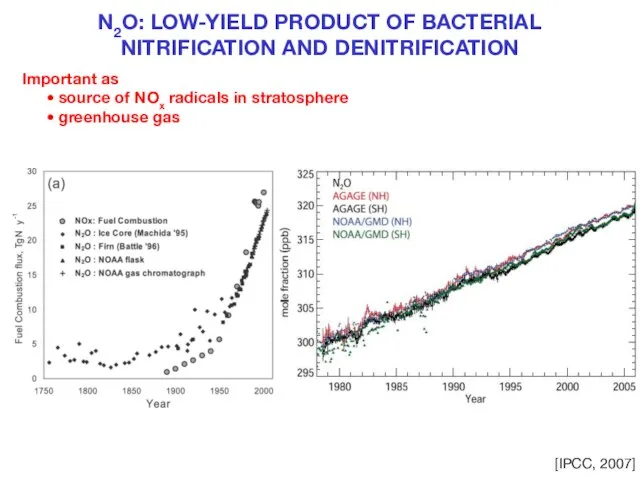 N2O: LOW-YIELD PRODUCT OF BACTERIAL NITRIFICATION AND DENITRIFICATION Important as source of