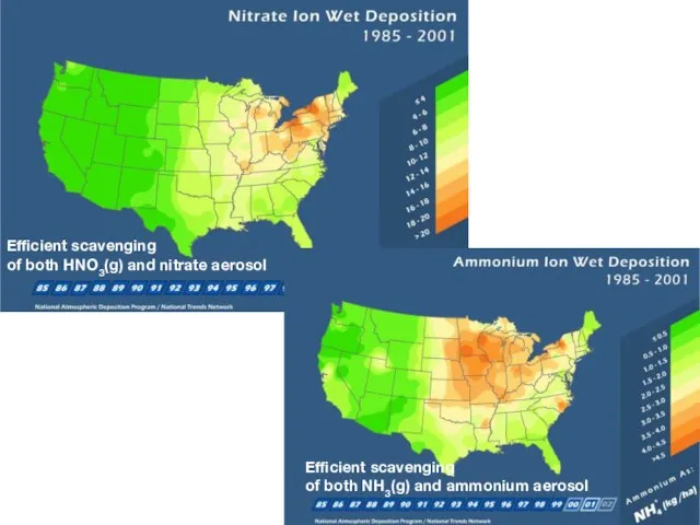 Efficient scavenging of both HNO3(g) and nitrate aerosol Efficient scavenging of both NH3(g) and ammonium aerosol