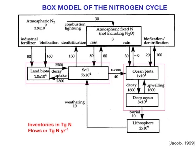 BOX MODEL OF THE NITROGEN CYCLE Inventories in Tg N Flows in