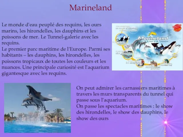 Marineland Le monde d'eau peuplé des requins, les ours marins, les hirondelles,