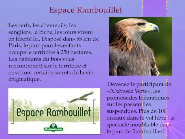 Espace Rambouillet Les cerfs, les chevreuils, les sangliers, la biche, les tours