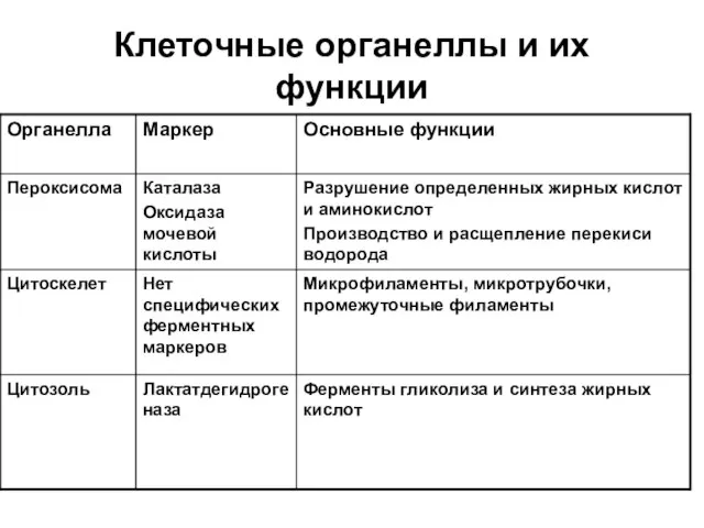 Клеточные органеллы и их функции