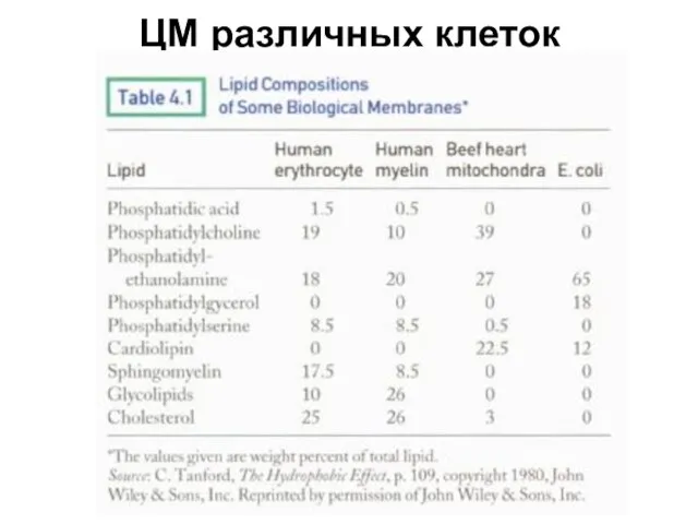 ЦМ различных клеток