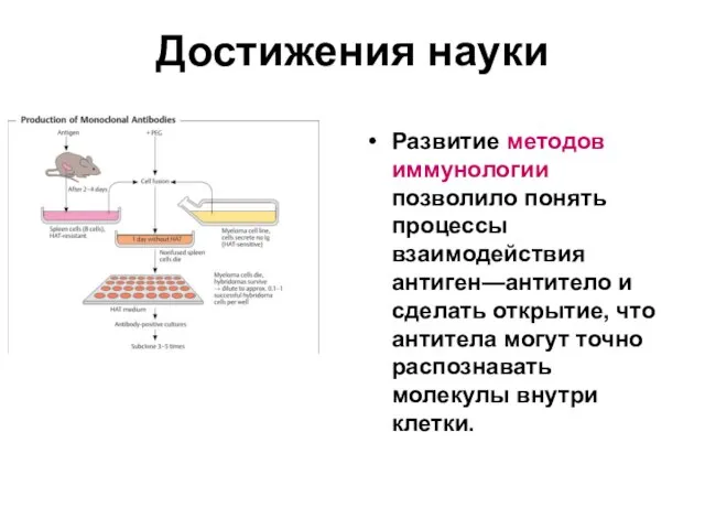 Достижения науки Развитие методов иммунологии позволило понять процессы взаимодействия антиген—антитело и сделать