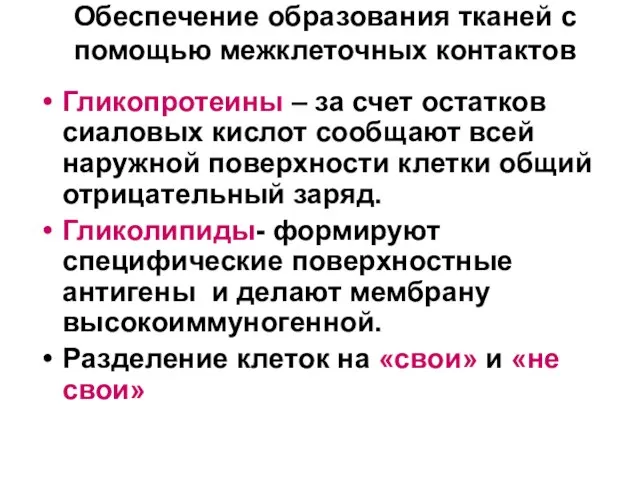 Обеспечение образования тканей с помощью межклеточных контактов Гликопротеины – за счет остатков