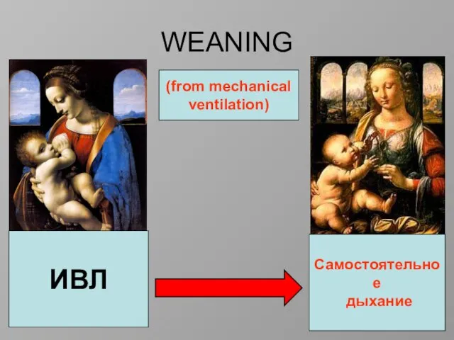 WEANING Мадонна Литта, 1480 г. Мадонна с гвоздикой, 1473 г. ИВЛ Самостоятельное дыхание (from mechanical ventilation)