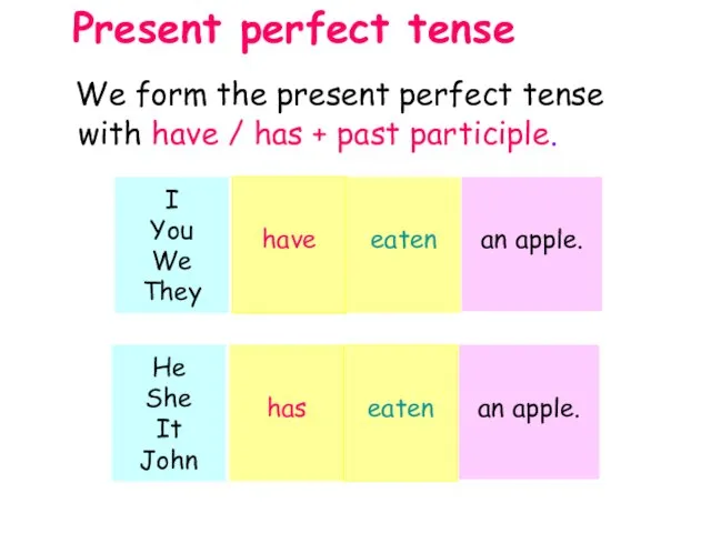 We form the present perfect tense with have / has + past participle. Present perfect tense