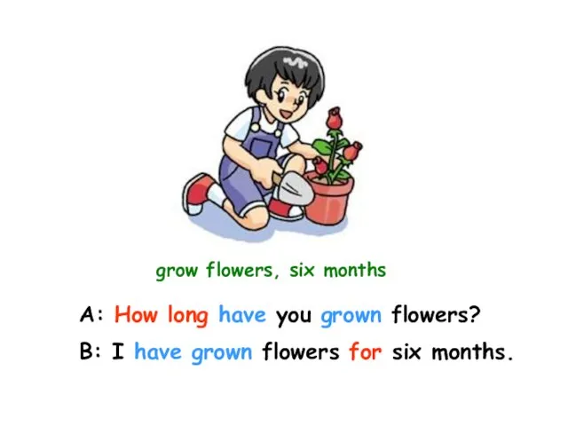 grow flowers, six months A: How long have you grown flowers? B: