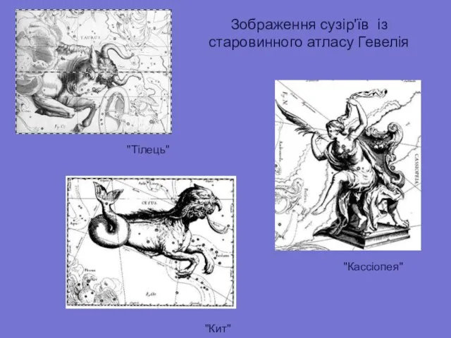 Зображення сузір'їв із старовинного атласу Гевелія "Тілець" "Кит" "Кассіопея"