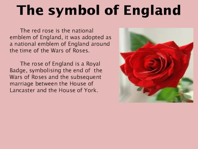 The symbol of England The red rose is the national emblem of