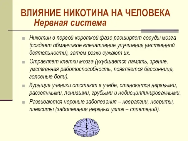 Нервная система Никотин в первой короткой фазе расширяет сосуды мозга (создает обманчивое