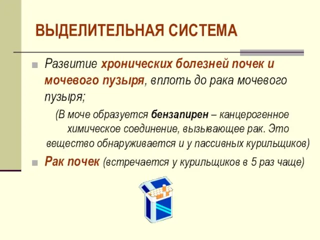 ВЫДЕЛИТЕЛЬНАЯ СИСТЕМА Развитие хронических болезней почек и мочевого пузыря, вплоть до рака