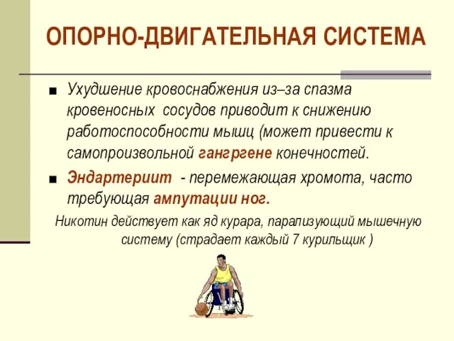 ОПОРНО-ДВИГАТЕЛЬНАЯ СИСТЕМА Ухудшение кровоснабжения из–за спазма кровеносных сосудов приводит к снижению работоспособности